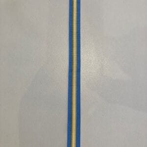 Hair Ribbon School