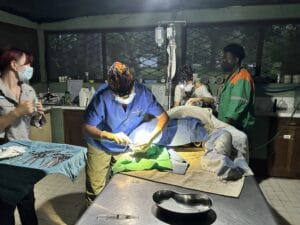 Hannah Steel 5 - St Hilda's Anglican School For Girls