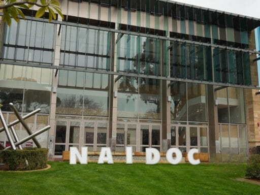 Indigenous Scholarships