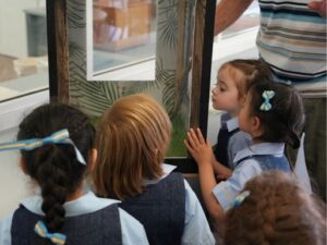 Bugs Incursion - St Hilda's Anglican School For Girls