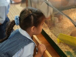 Chicks 2 - St Hilda's Anglican School For Girls