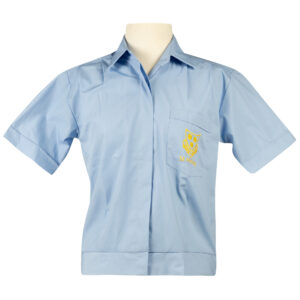 PRICE REDUCED Overblouse