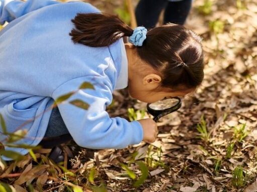 Child wearing a blue sweater crouches in a leaf-strewn yard, using a magnifying glass to inspect the soil.