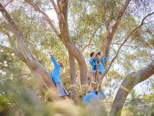 Natural playgrounds that support imaginative play 