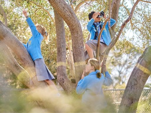 Three children in blue uniforms climb tree branches, with one girl using binoculars to look ahead in a sunny outdoor setting.