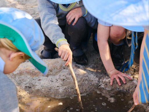 Children wearing light blue hats dig a muddy hole in the sand using sticks outdoors. pieces of water and damp soil around them suggest a hands-on exploratory activity.